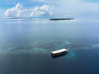Coral reefs and seagrass surrounds an island within Wakatobi National Park, off the coast of Sulawesi. This area is a popular destination for divers and snorkelers due to its high marine biodiversity.