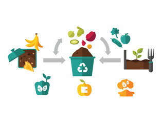 Composting Organic Kitchen Waste Infographic