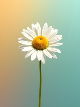 Daisy on a vibrant background, top view photorealistic flower
