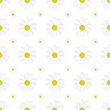 seamless  White Daisy  pattern