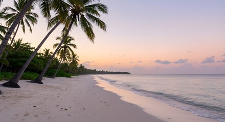 Fototapeta premium beach at sunset