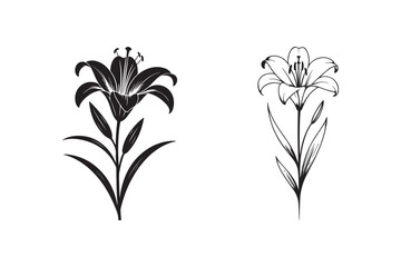 Lily Flower Silhouette and Line Art &ndash; Elegant Botanical Floral Vector Design