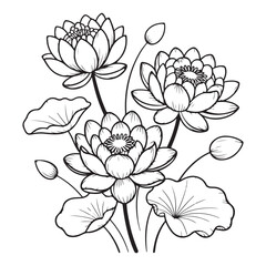 Lotus Flower Line Art Illustration