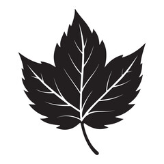 leaf silhouette vector