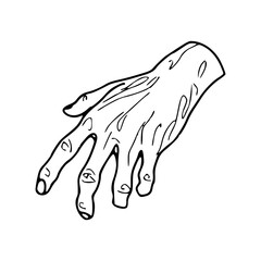 gesture and palm lines sketch