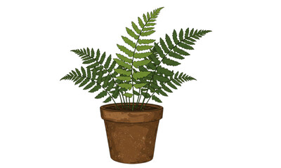 green plant in a pot