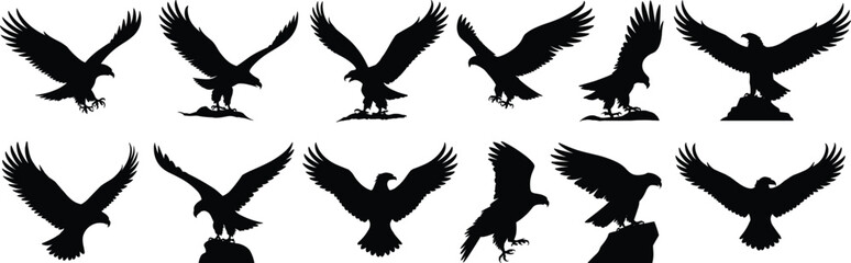 Eagle silhouette collection, flying and perched raptor icons, predatory bird illustrations, black hawk vector set on rocks and ground

 flat vector illustration