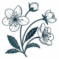 crowfoot flowers outline icon on white background