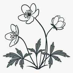 crowfoot flowers outline icon on white background