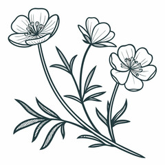 crowfoot flowers outline icon on white background