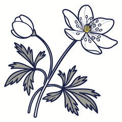 crowfoot flowers outline icon on white background
