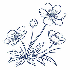 crowfoot flowers outline icon on white background