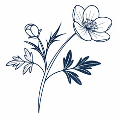 crowfoot flowers outline icon on white background