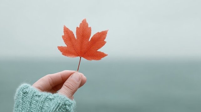 Holding a maple leaf cutout against a soft cloudy blue sky captures the essence of Canada Day celebrations in a minimalist way