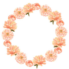 Peony flower head in soft peach tones watercolor round frame. Hand-painted wreath perfect for wedding invitations, feminine branding, packaging, fabric design, stationary and cards. Coral charm color