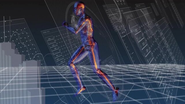 After appearing translucent metallic skeleton jogging and rotating for biomechanical analysis