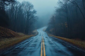 Obraz premium Winding road through foggy forest in the early morning light creates a mysterious atmosphere