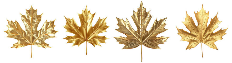 Collection set of Golden maple leaf isolated on white background, cut out png