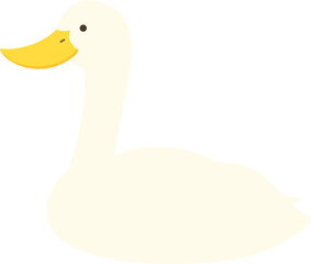 duck