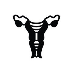 Black solid icon for uterus