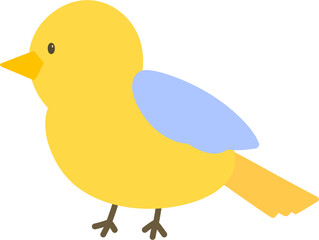 bird