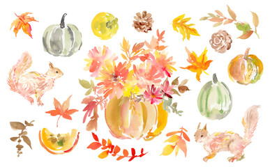 Watercolor abstract PNG clipart set with autumn leaves, seasonal flowers, pumpkins, fruits, and squirrels. Hand-painted Thanksgiving illustration collection with transparent backgrounds.