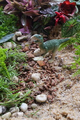 Ancient animal backgrounds showcase prehistoric creatures, revealing Earth’s distant past through dramatic, natural scenes.