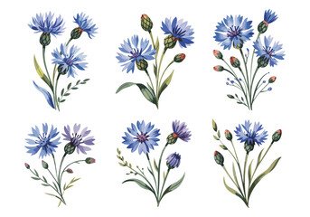 set of flowers Vectors illustrations