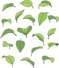 a set Hand Drawn illustration of leaves
