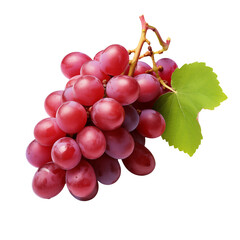 Fototapeta premium Fresh Red Grapes Bunch Isolated on transparent Background