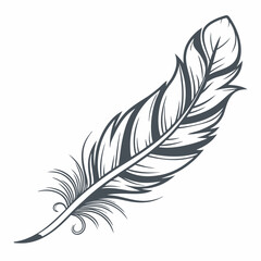 Obraz premium Vector illustration of feather image free download.