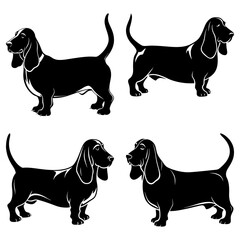 Illustration of four basset hound dogs in black silhouette on a white background in various poses