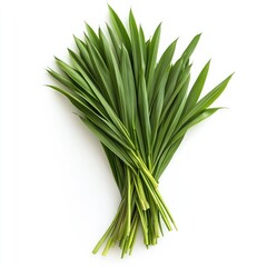 Fototapeta premium Fresh, vibrant bunch of green leaves