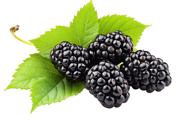 Four Ripe Blackberries With Green Leaves Isolated On Transparent Background