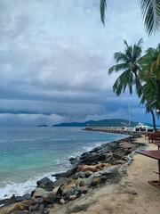 palm trees on the beach