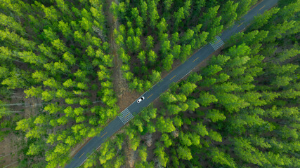 Aerial view of dark green forest road and white electric car Natural landscape and elevated roads Adventure travel and transportation and environmental protection concept	