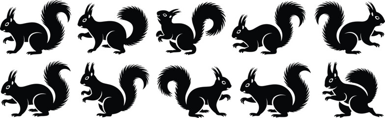 Squirrel silhouette vector set, forest rodent illustrations, bushy tail animal icons, cartoon wildlife posture collection, black nature creature design

 flat vector illustration