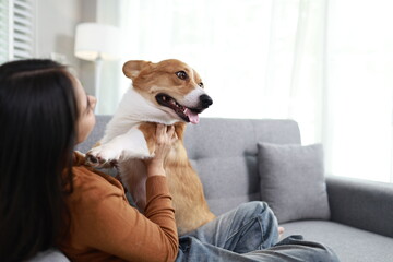 A young woman in her 20s works remotely from her cozy apartment, focused on her laptop while her loyal puppy rests beside her.