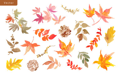 Watercolor abstract autumn leaves and pinecones vector clipart set. Hand-painted collection of autumn botanical illustrations for pattern and background.
