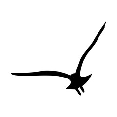 Fototapeta premium Bird icon