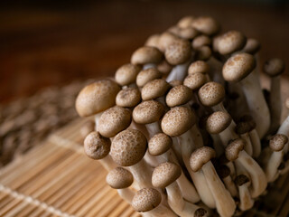 fresh brown shimeji mushroom or beech mushroom.