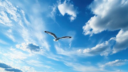 A seagull glides effortlessly through a vibrant blue sky filled with fluffy white clouds in the afternoon. The scene captures the essence of nature's beauty and freedom.