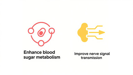 Obraz premium The red metabolic ring and yellow neural pattern represent scenes that enhance blood glucose metabolism, improve nerve conduction, regulate metabolism, and promote neural health.