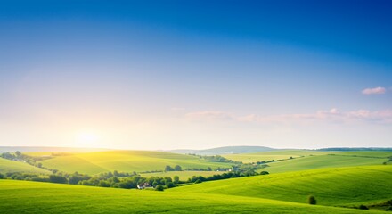 Fototapeta premium Green field at sunrise