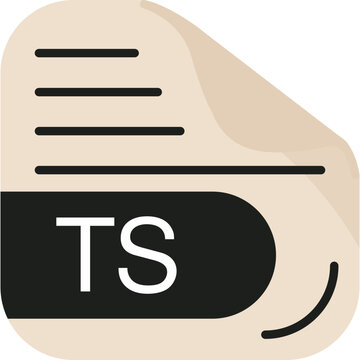 TS File Format Icon