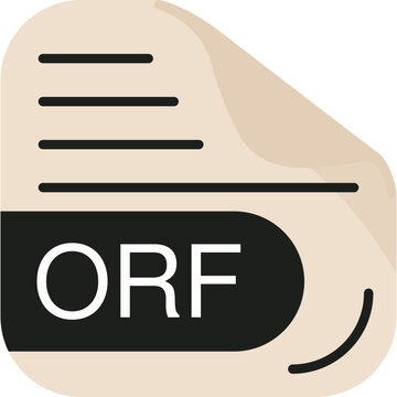 ORF File Format Icon
