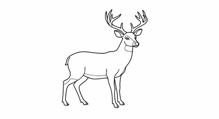 Outline deer animal line art