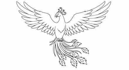 Obraz premium Outline phoenix bird mythical creature