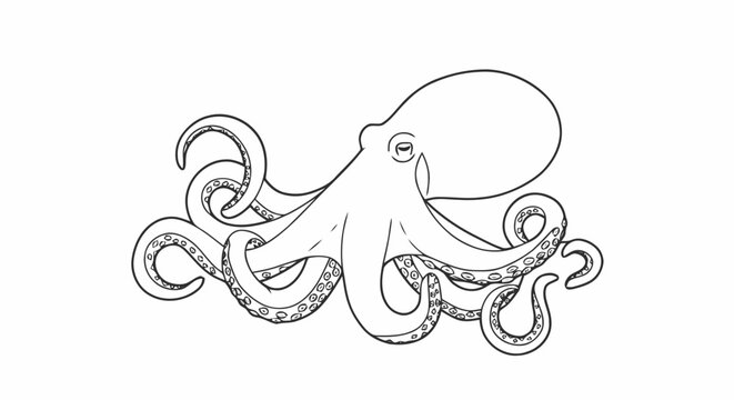 Outline octopus sea creature