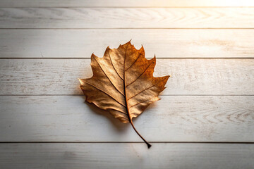 Obraz premium Single dry autumn leaf on a white wooden surface with natural warm lighting